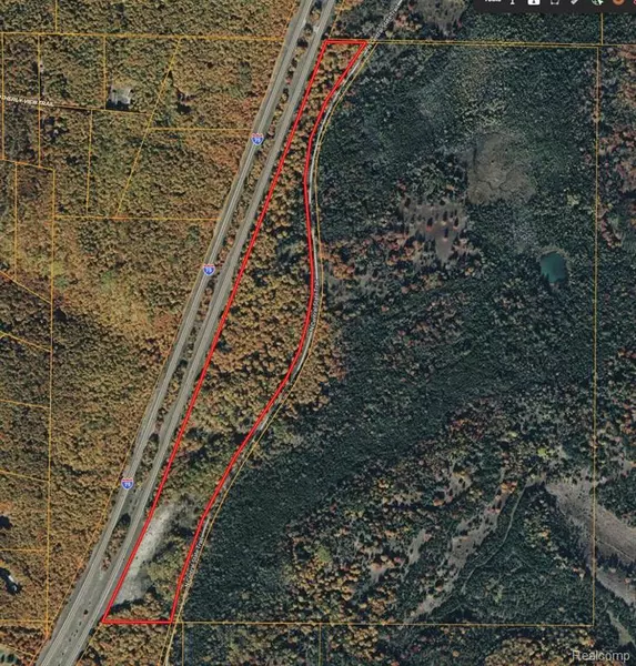 0 E Alexander Road, Vanderbilt, MI 49795