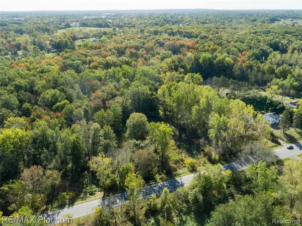 Linden, MI 48451,South of 12111 Linden Rd Linden Road