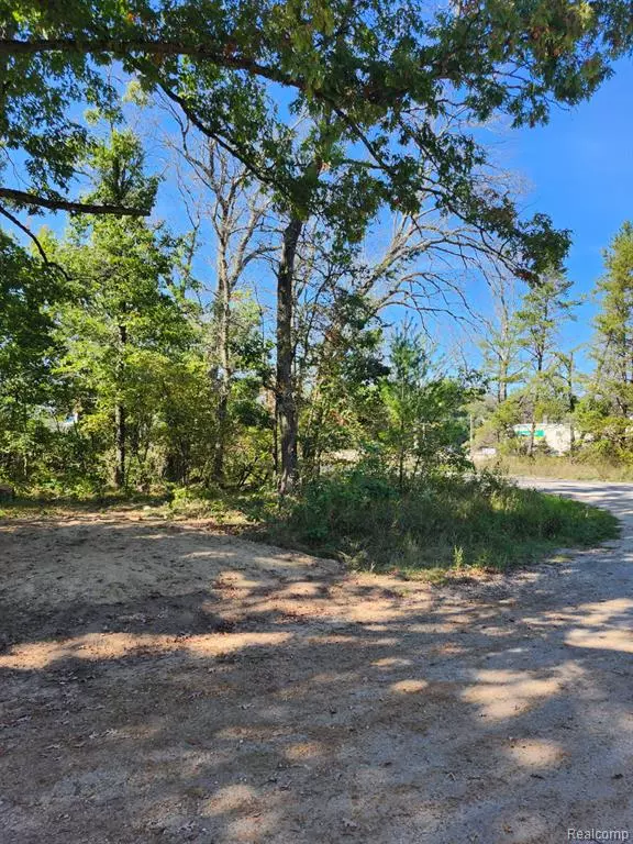 Baldwin, MI 49304,00 Springtime