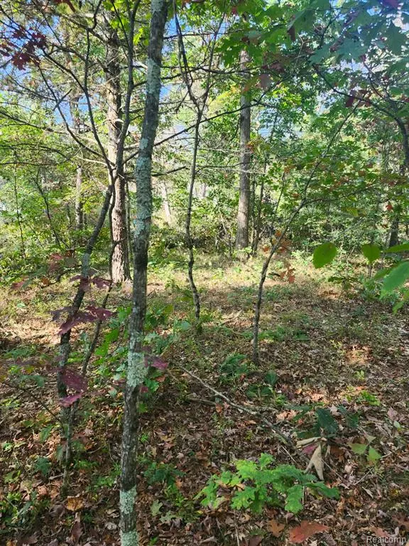 Baldwin, MI 49304,00 Yale Avenue