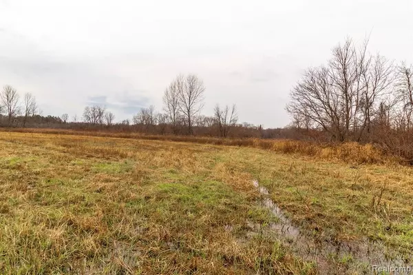 Lapeer, MI 48446,VL Roods Lake Road