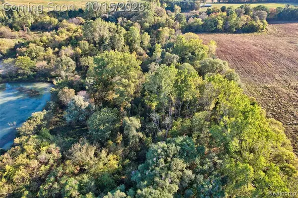Swartz Creek, MI 48473,VL Grand Blanc Road
