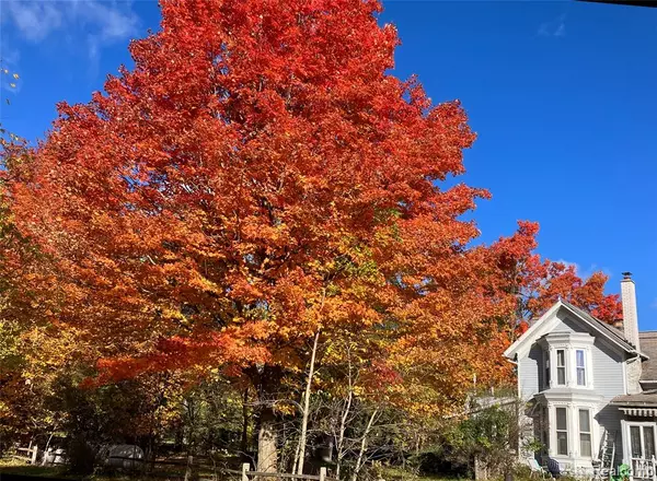 Byron, MI 48418,16141 Duffield Road