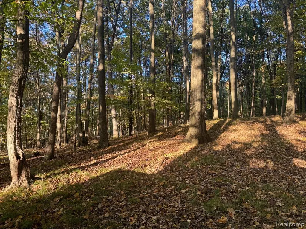 Metamora, MI 48455,VL Rock Valley Road