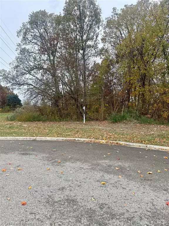 Shelby Twp, MI 48315,10380 Excalibur Drive