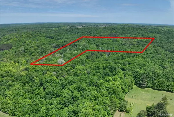 0 Bunker Hill Road, Central Lake, MI 49622