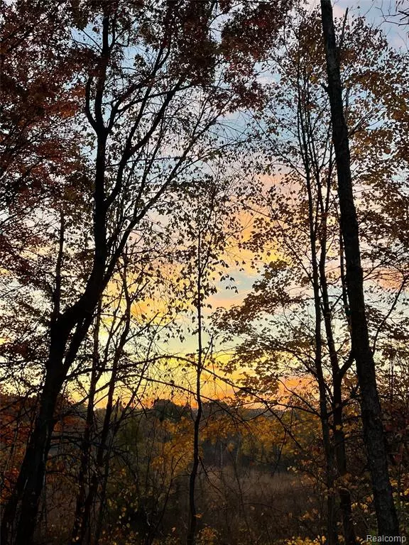 Holly, MI 48442,000 Markland Drive