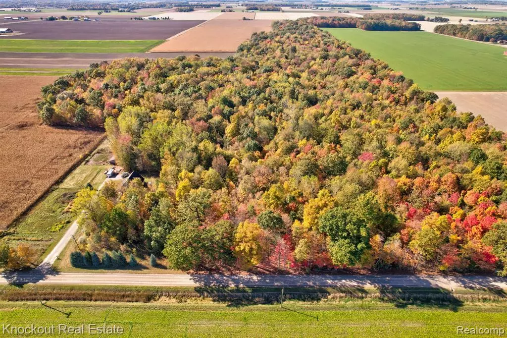 Frankenmuth, MI 48734,4000 S Reese Road