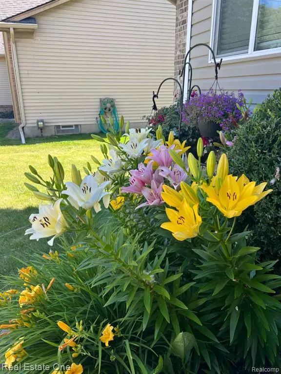 Saint Clair Shores, MI 48082,33119 Robeson Street