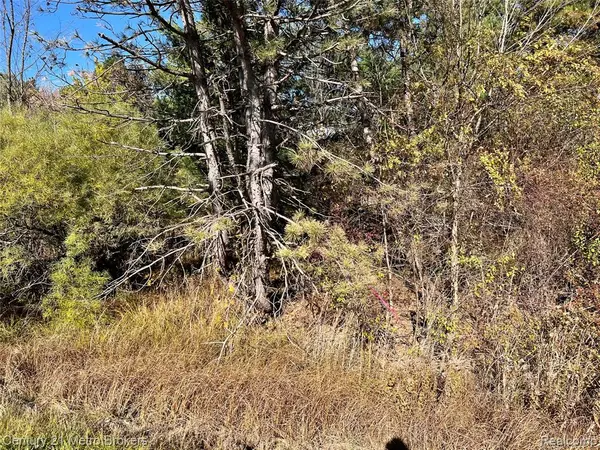 Swartz Creek, MI 48473,0 N Corunna Road