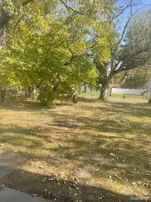 Romulus, MI 48174,11499 Delano Street