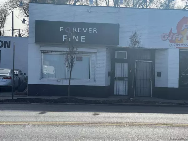 16125 W MCNICHOLS Road, Detroit, MI 48235