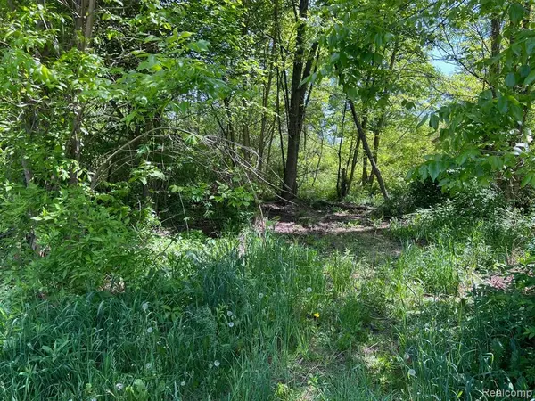 Lapeer, MI 48446,Lot 40 HERON Drive