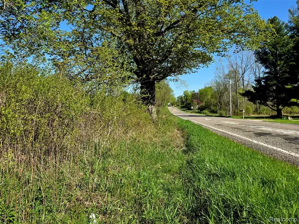 Columbiaville, MI 48421,VL Parcel C Peters