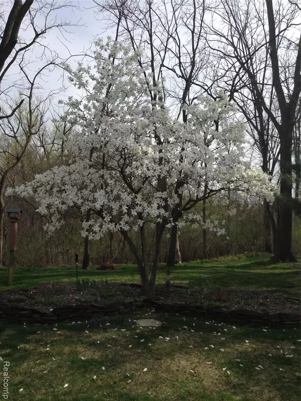 Canton, MI 48188,45289 Rudgate Road