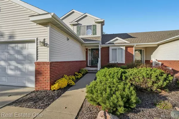 Howell, MI 48843,480 Hosta