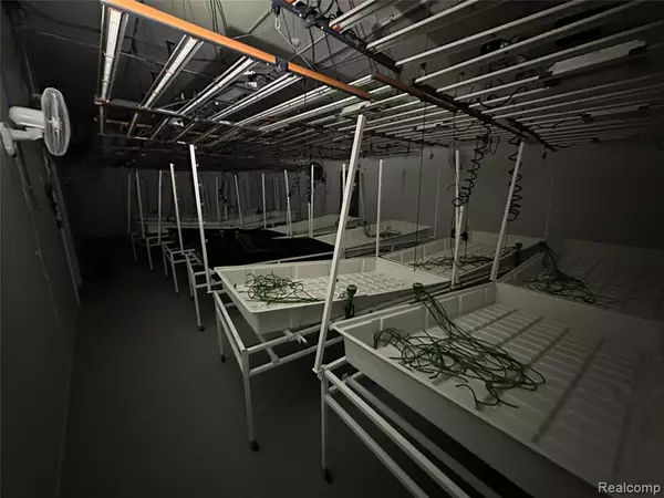 Baldwin, MI 49304,3049 S Dog Track Road