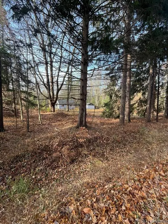 Spring Lake, MI 49456,2311 Judson Road