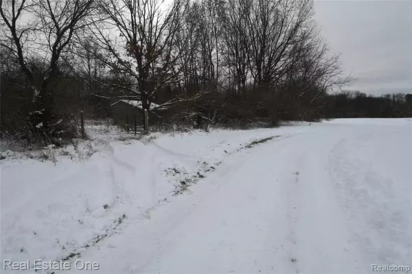 Munith, MI 49259,0000 Roberts Drive