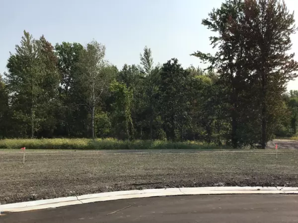 Allendale, MI 49401,5291 Sunshine Street #Lot 3