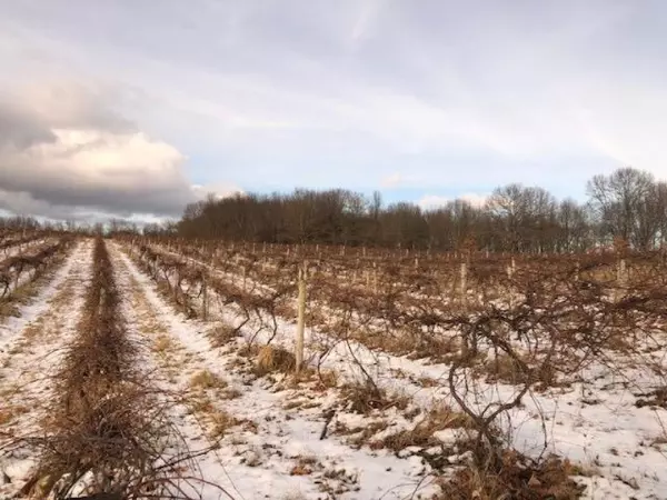 Mattawan, MI 49071,22320 E McGillen Street