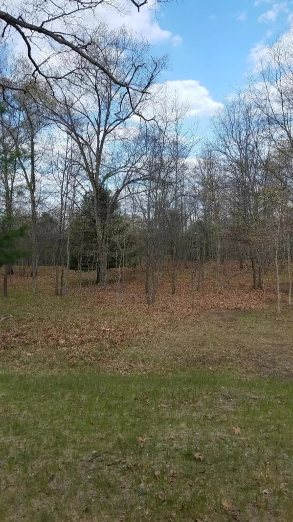 Pentwater, MI 49449,Bryant Street