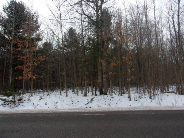 14 Acres Nine Mile Road, Bear Lake, MI 49614