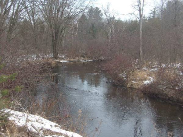 Bear Lake, MI 49614,14 Acres Nine Mile Road