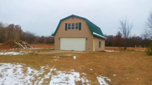 3424 E 56th Street, Chase, MI 49623