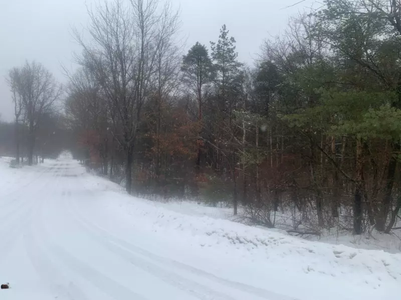 9126 160th Avenue, Stanwood, MI 49346