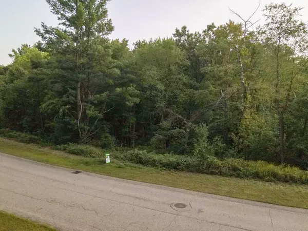 Rockford, MI 49341,4194 Peter Creek  Dr