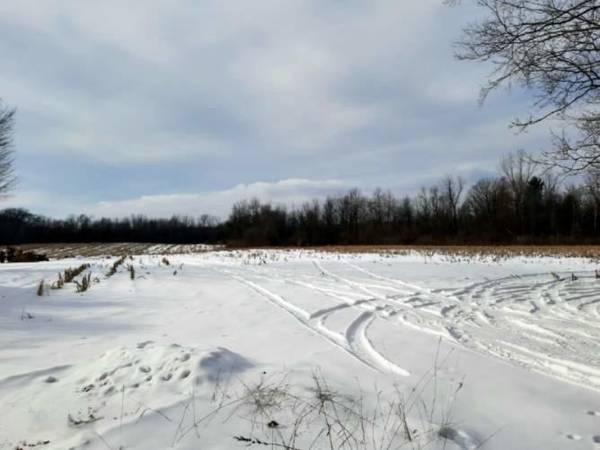 435 Brown Road #Parcel B, Bailey, MI 49303