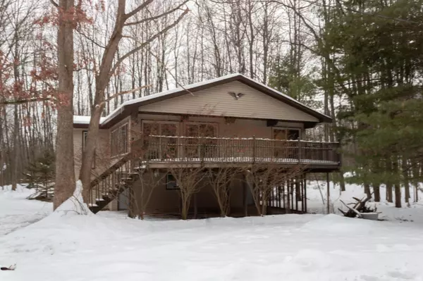 11973 St. Johns Drive, Canadian Lakes, MI 49346