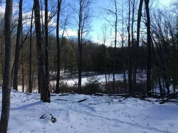 Baldwin, MI 49304,7394 S. Hamilton Road