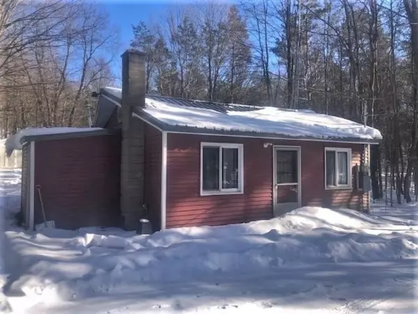 5850 S Hawkins Road, Chase, MI 49623