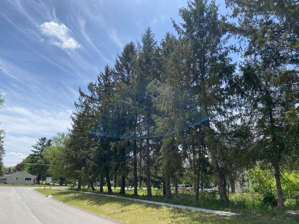 6086 Coventry Woods Drive, Belmont, MI 49306