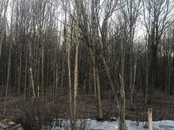 Sheridan, MI 48884,5978 S Holland Road