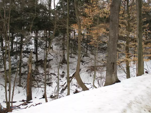 Saugatuck, MI 49453,184 Park Street