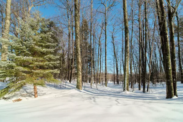 Onekama, MI 49675,9800 Emerald Ridge Trail