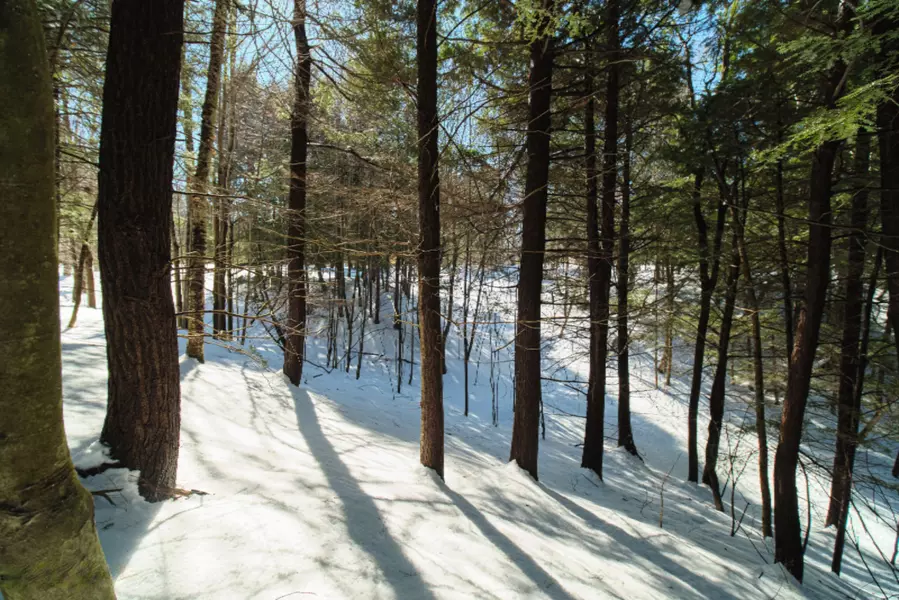 Valleyview Drive, Onekama, MI 49675