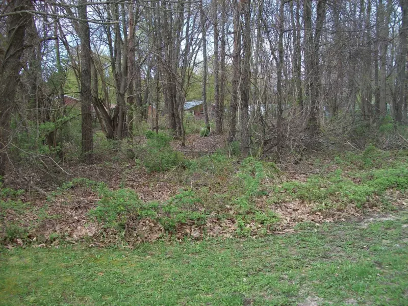 306 Arnstrom Drive, Gobles, MI 49055