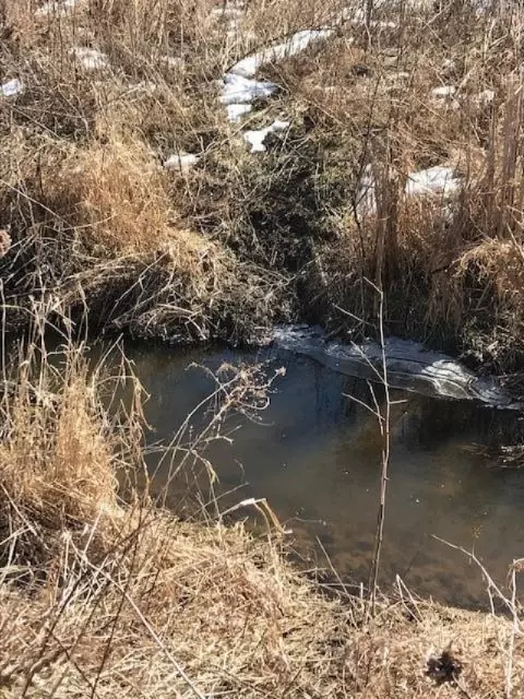 Gobles, MI 49055,000000 mud lake drive