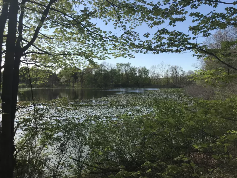 26516 Lake Street, Gobles, MI 49055