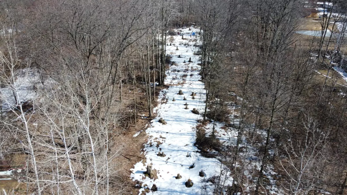 Pullman, MI 49450,54th Street