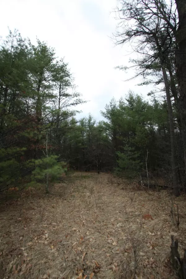 Holton, MI 49425,0 Brunswick Road