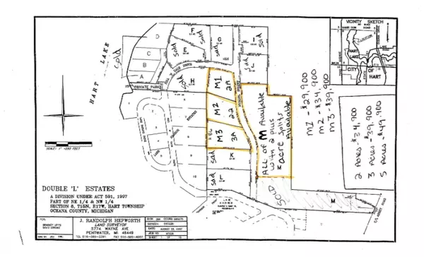 Hart, MI 49420,Michael Street