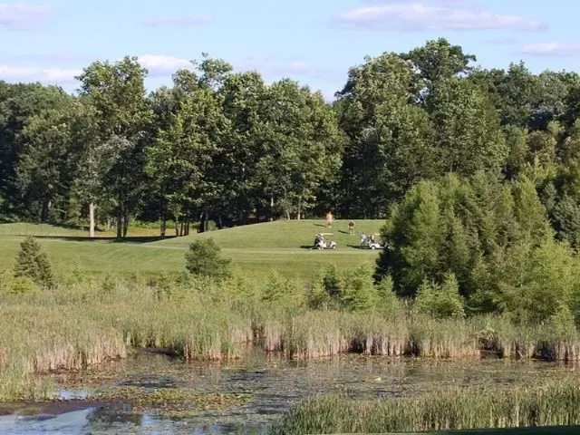 9236 Briarstone Drive, Stanwood, MI 49346