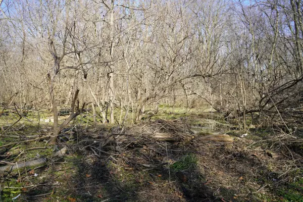 Dowagiac, MI 49047,712 N Front Street