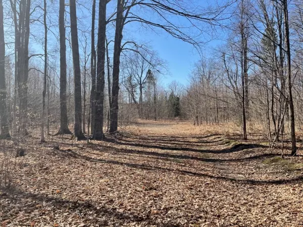 Thompsonville, MI 49683,Lot 57/58 Woods Trail