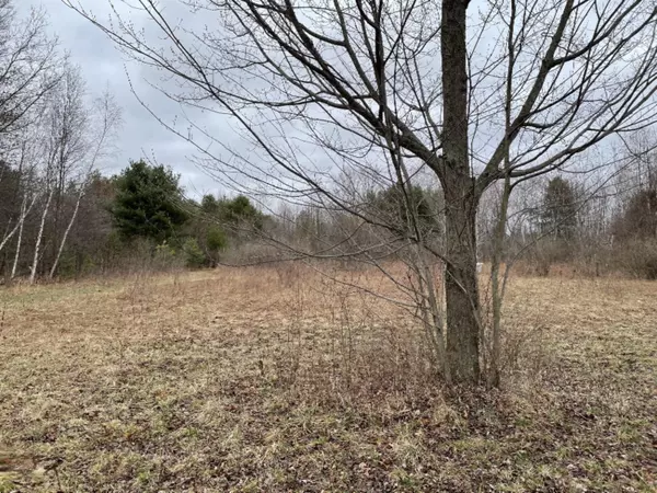 Fruitport, MI 49415,V/L E Pontaluna Road